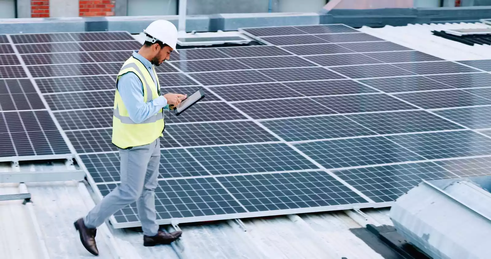 formation aux metiers de l'environnement